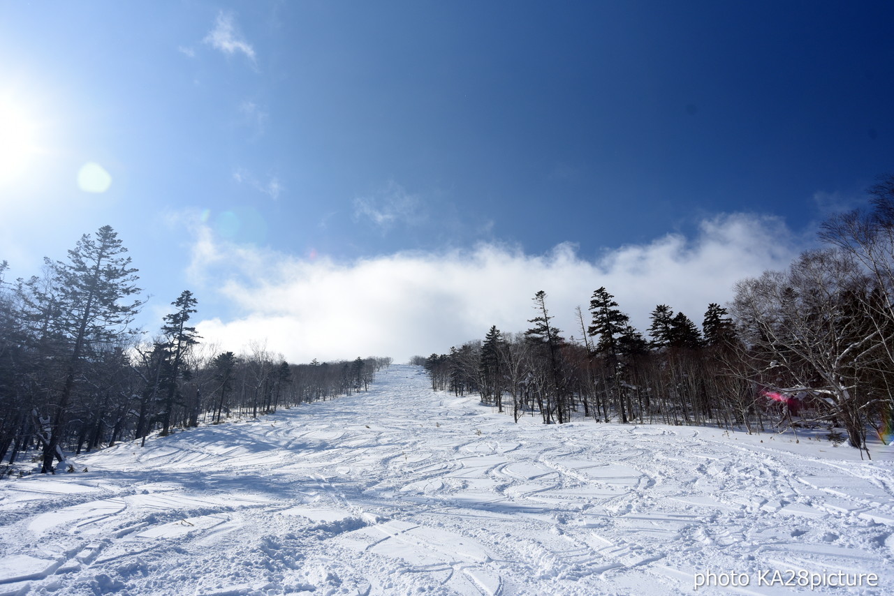 十勝サホロリゾート　雪質良好な北斜面『N3チャレンジコース』へエントリー!!